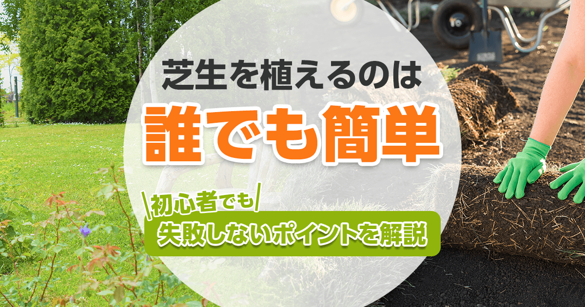 芝生の植え方 初心者でも簡単 理想のお庭を作る植え方のポイント解説 お庭110番