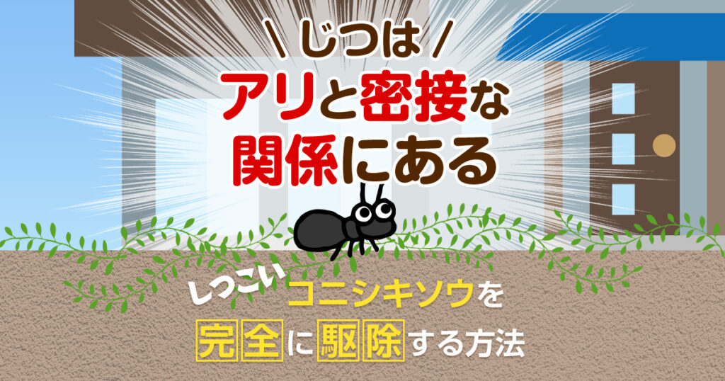 コニシキソウを完全に駆除！二度と発生させないポイントは「アリ駆除」