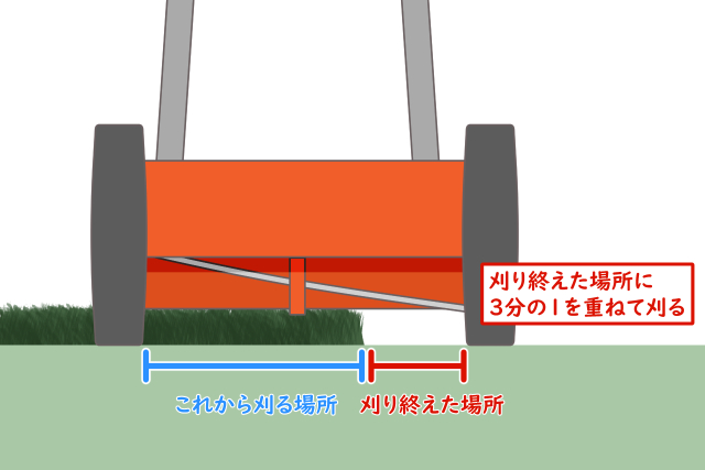 刈り終えた場所に3分の1を重ねて刈る