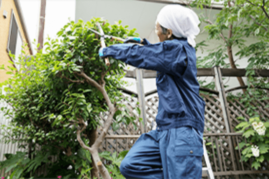 庭木のお手入れ