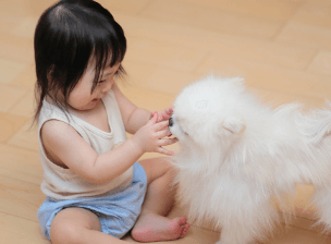 子どもとペットに無害